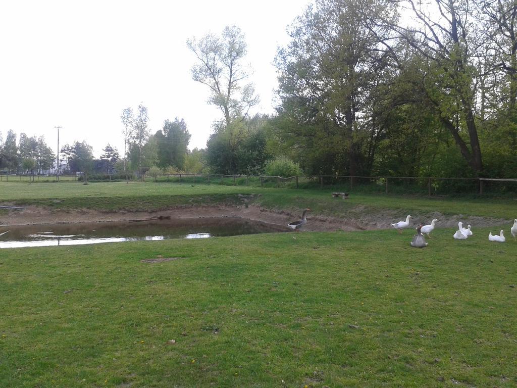 Chata Zahrada Madeta Veselí nad Lužnicí المظهر الخارجي الصورة