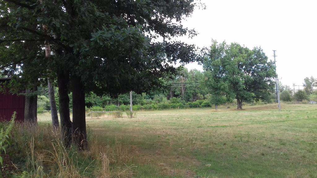 Chata Zahrada Madeta Veselí nad Lužnicí المظهر الخارجي الصورة