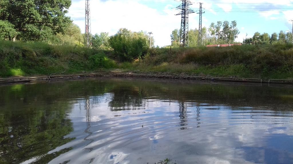 Chata Zahrada Madeta Veselí nad Lužnicí المظهر الخارجي الصورة